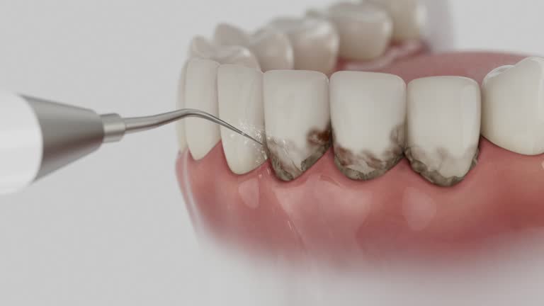 Reliable Dental contractor in Oak Hills, PA by Dentist Open Now